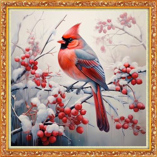 Image of Funxvoot Stamped Cross Stitch Kits Beginners Full Range of Embroidery Kits for Adults 11CT Embroidery Patterns Needlepoint Kits Printed Cross Stitch Kits-Bird Snow Scenery 18x18 inch