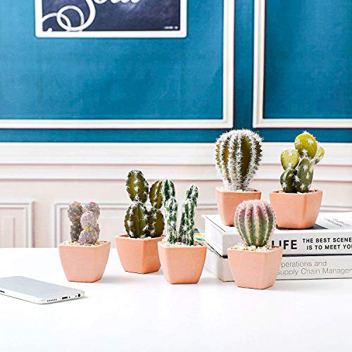 T4U Assorted Artificial Succulent Potted Plants Decorative Plastic Faux Cactus With Pots, Pack Of 6 #TOP3