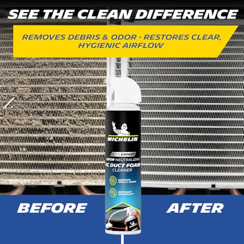 Image of MICHELIN AC Duct Cleaner for Car 350ml Deep-Cleaning Expanding Foam AC Cleaner for Car, Eliminates Dust, Mold & Odors | Restores Airflow with Fresh & Hygienic Cabin | Plastic & Metal Safe