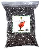 Hand Blended Potting Soil Mixture for Repotting or Growing Redwood Trees, Giant Redwood Planting Soil Mixture, Fast Draining, Nutrient Rich, Encourages Growth 4qt
