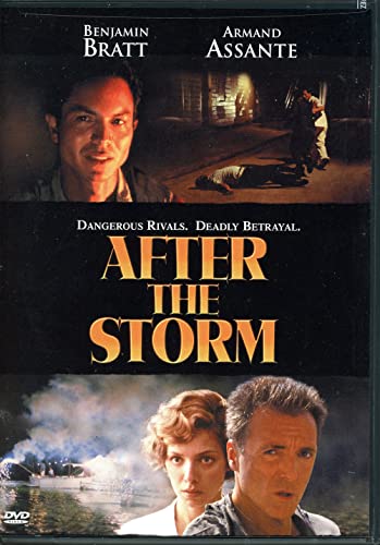 After the Storm (Widescreen Edition) (2002) B000065I8Y Book Cover