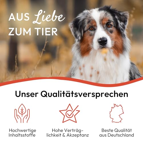 PHA Spot-On Tropfen für Hunde – Natürliches Mittel gegen Flöhe, Zecken & Milben mit Neemöl & Laurinsäure, Floh- & Zeckenschutz Hund, Flohmittel Hund bei Befall, 2 Kunststofftuben à 2 ml