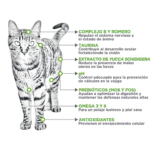 Gato, Pet Products Imagen adicional