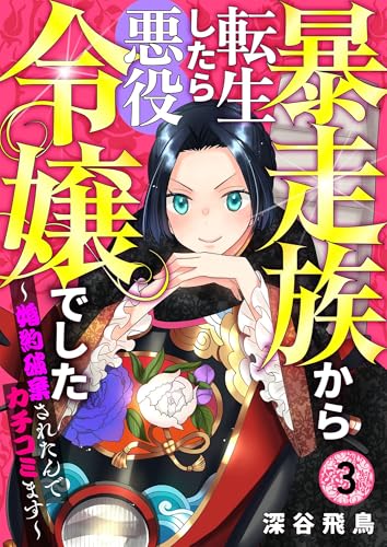 【分冊版】暴走族から転生したら悪役令嬢でした～婚約破棄されたんでカチコミます～（3）