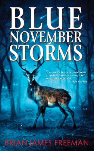 Blue November Storms view 2