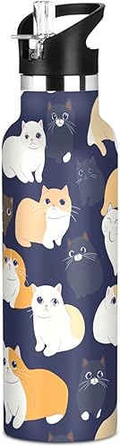 Miniatura 25 de Sweet Savannah Cats Brown, Sports Water Bottle with Handle Keeps Hot and Cold Lightweight for Bike Running Sports Travel Gym