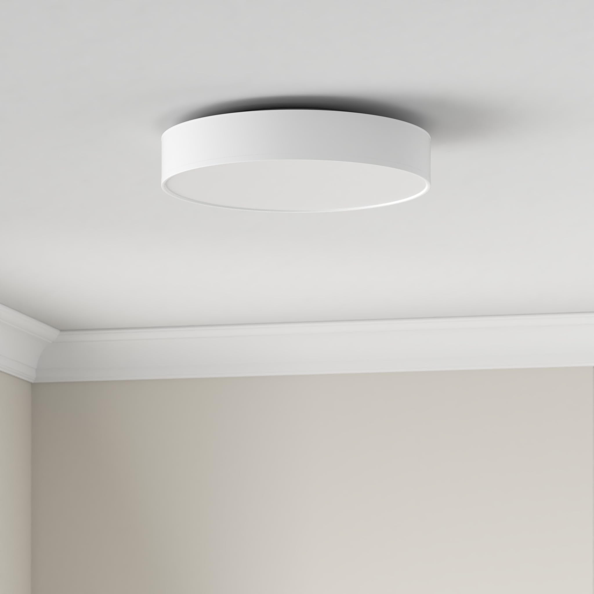 Philips Hue White Ambiance Enrave Deckenleuchte M (2.450 lm) inkl. Dimmschalter, dimmbare Deckenlampe für das Hue Lichtsystem mit allen Weißtönen, smarte Lichtsteuerung über Sprache und App, weiß