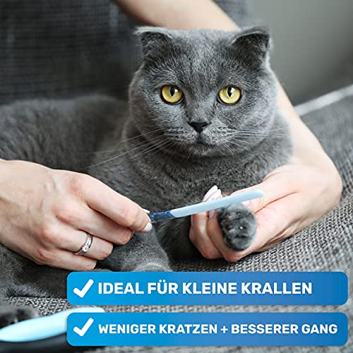 BluePet Kleine Krallenschere für kleine Hunde, Katzen & Kleintiere I Angewinkelter Schneidekopf für Enge Krallen I Krallenzange mit Krallenfeile für ideale Krallenpflege mit Nagelschneider