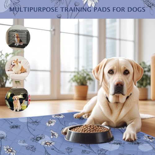 Image of IEUUMLER Washable Pee Pads for Dogs, 2 Pack Non-Slip & Waterproof Pack Whelping Pad, Reusable Washable Puppy Potty Training Pad with Fast Absorbent for Playpen EU007 (Gray Blue Daisy, 30 inchX20 inch-2pcs)