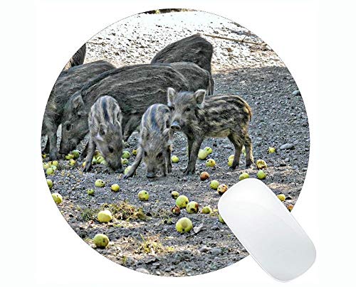 Animal Design Cute Baby Pig Mousepad, Boar Round Mouse Pads