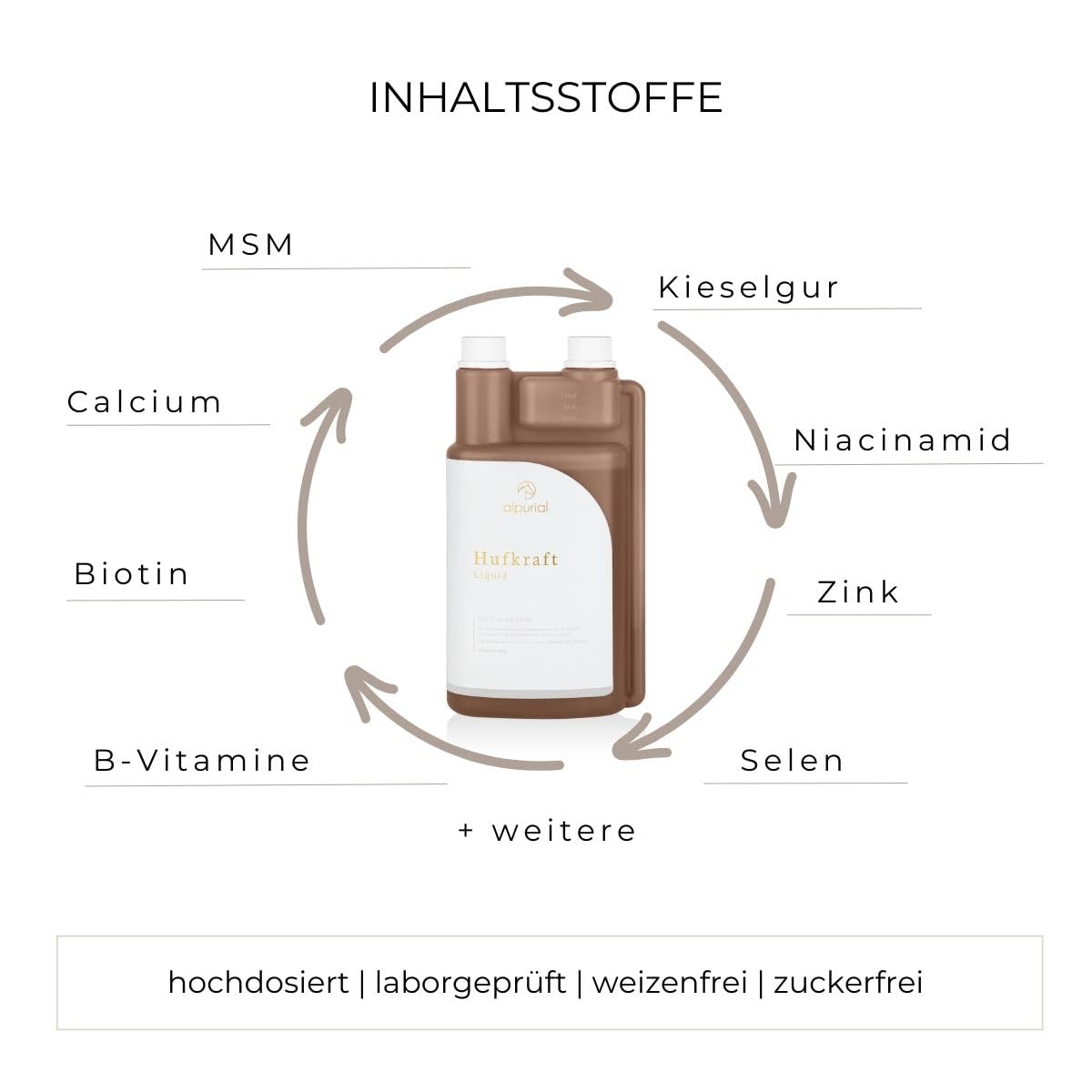 Hufkraft – Ergänzungsfuttermittel für Pferde – mit Biotin, Zink & Calcium – für Feste, gepflegte Hufe und eine ausgewogene Nährstoffversorgung – vom Tierarzt entwickelt