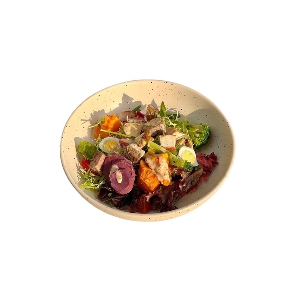 GFHTRELY Salad Bowl 8.6 In Ink-Splash Ceramic Salad Bowl Large Deep Plate With Design Fruit Curry Noodle Soup Set Fruit Bowl