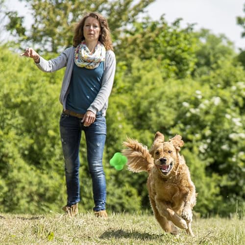 Boule hexagonale - balle de réaction, Balls de direction de changement d'agilité | Vitesse exercice de réaction Capacité d'entraînement Agilité Réaction Sports Coordination réflexe Ball Bounce Traine – Image 6