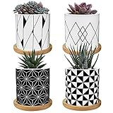 🎍 【Heimat der Pflanzen】 Sie können Sukkulenten, Kakteen und Kräuter anbauen. Dann werden Sie feststellen, dass die Natur direkt neben Ihnen liegt. * Pflanzen nicht enthalten *