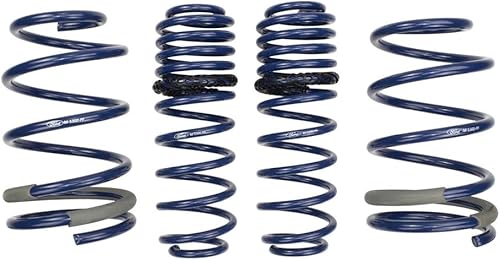 Ford Racing 2005-2014 Mustang GT 1.0in. Muelles de bajada de oruga