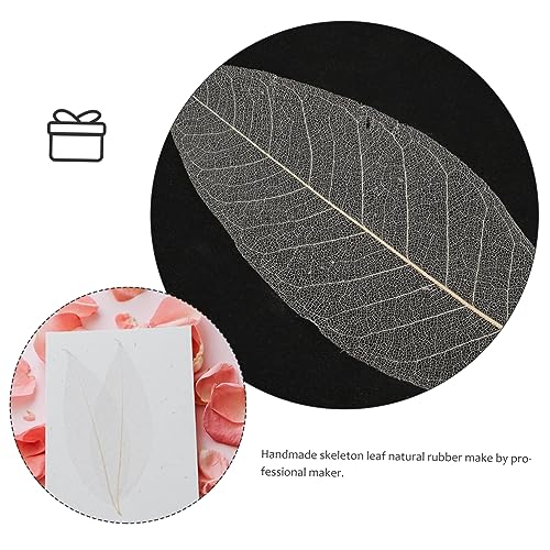 Decoración de hojas naturales para manualidades y scrapbook miniatura 7