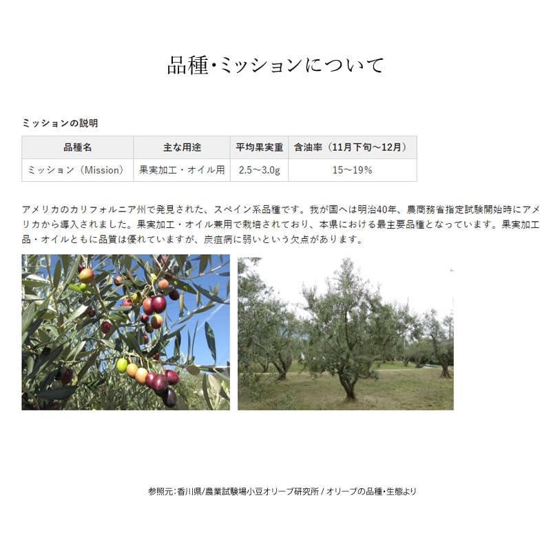 Amazon.co.jp: 小豆島産 オリーブ苗木 ☆品種：ミッション☆ Sサイズ