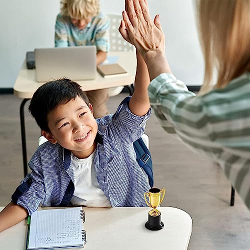 24 عبوة من الجوائز الصغيرة لجميع الاعمار، كأس جوائز ذهبية للمشاركة في البطولات الرياضية والمسابقات