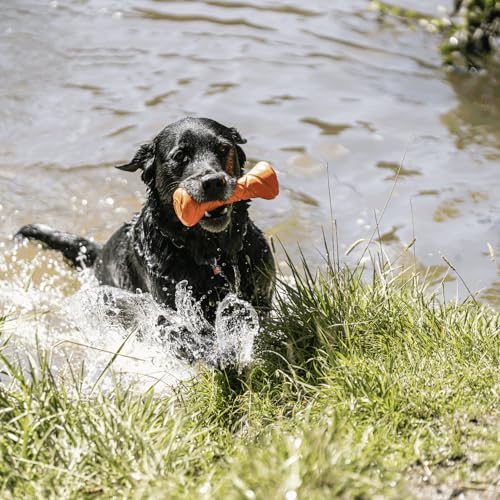 Sprenger Hundespielzeug Apportierhantel - Spaß und Training für alle Hunderassen, orange - 18 x 7cm
