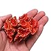 Artificial Coral Plant Colorful Resin Ornaments Aquarium Decor Polyresin Simulation Coral for Fish