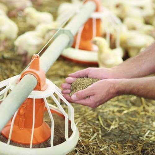 Ep 241: High-flying discussions meet on-the-ground execution