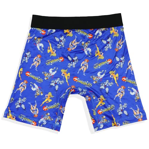 Thundercats Men's Boxer Briefs Classic Cartoon Lion-O Cheetara Tygra Panthro Underwear4