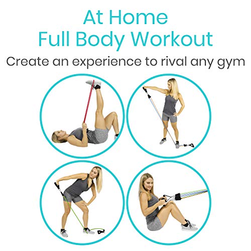 Vive Resistance Band Set (12 Pcs) - Heavy Duty Stretch Tube Rehab Bands - Shoulder Pulley Door Anchor - 2 to 70 LBs Tension - Home Workout Elastic Fitness Equipment - Men, Women Training (Standard)