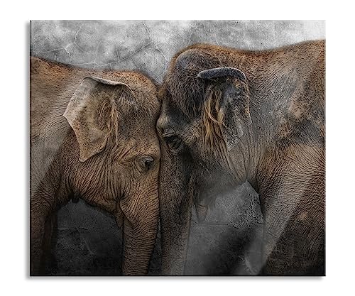 B&W Detail Plaque de recouvrement de cuisinière et protection anti-éclaboussures en verre véritable pour plaques de cuisson 60 x 52 cm