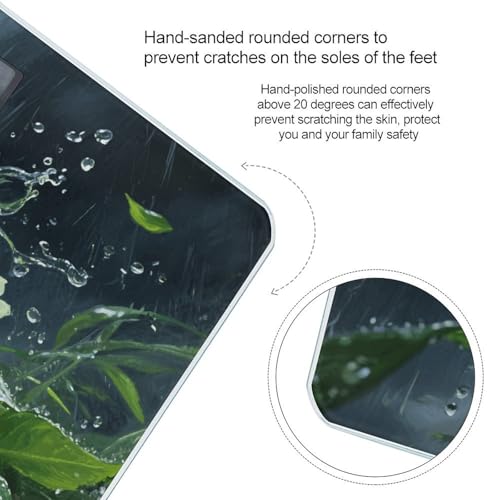 Báscula digital de baño con pantalla LCD y vidrio templado miniatura 4