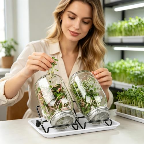 Tarro de germinación de brotes sin moho para aficionados a la salud 4