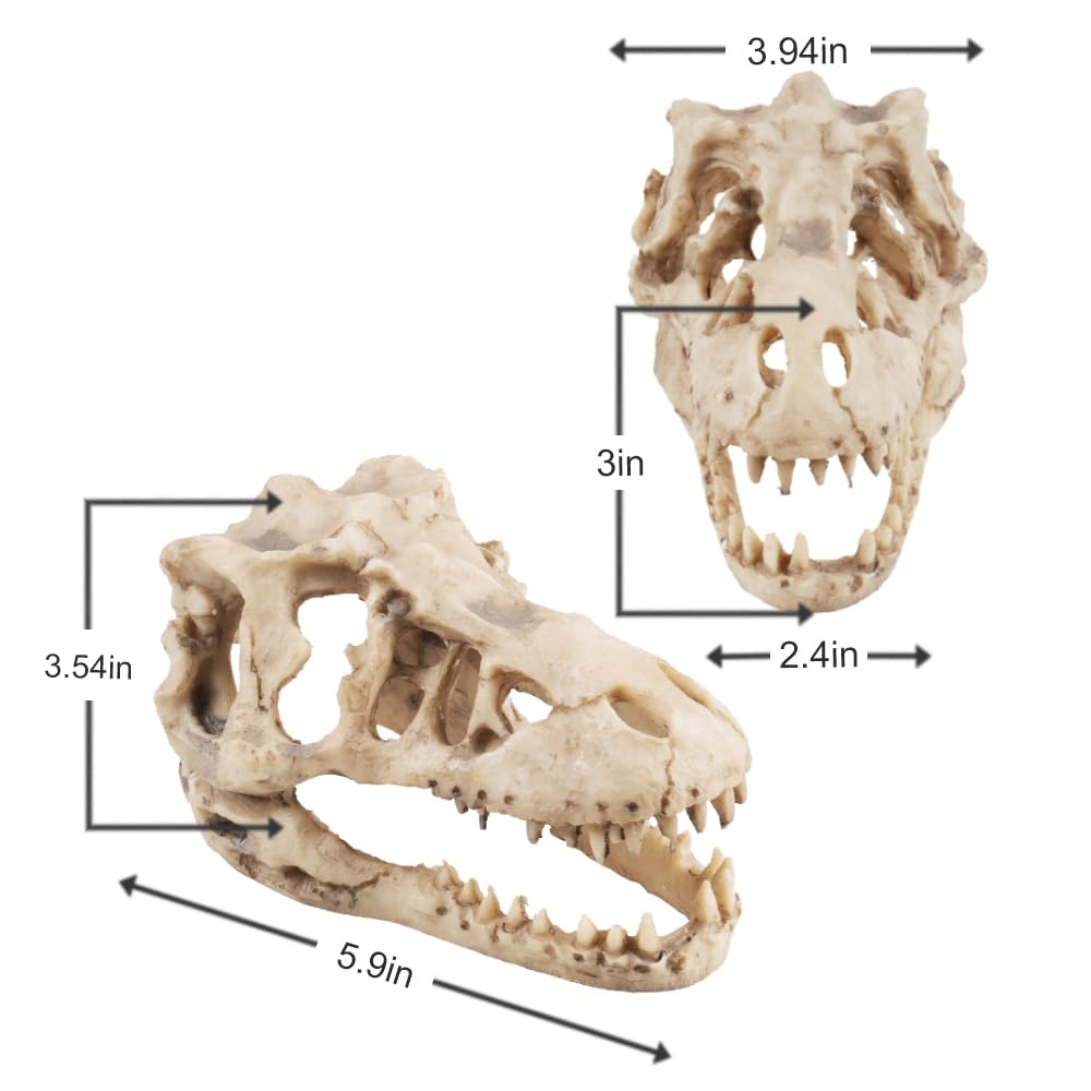 Piegricdiat Ornamenti per acquario con teschio di dinosauro, grotta di pesce per acquario, decorazione per rettili, ossa di dinosauro, decorazione per acquario, decorazione per acquario di dinosauro,