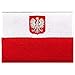 Poland Flag Embroidered Patch Polish Iron-On Polska National Emblem with Swallow Bird