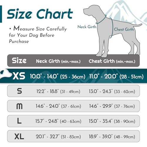 Image of Eagloo Dog Harness for Small Dogs, No Pull Pet Vest with 2 Leash Clips
