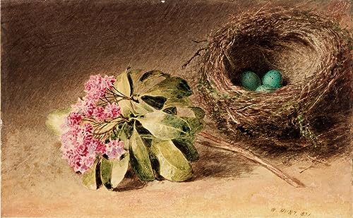 Lienzo de pared William Henry Hunt, cuadro decorativo de nido con flor para un salón elegante