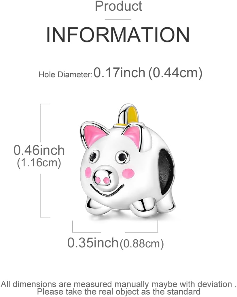 Hapour 925 Sterling Silver Charms for Bracelets and Necklaces Dangle Charm Jewelry Gift Charm for Women - Image 4