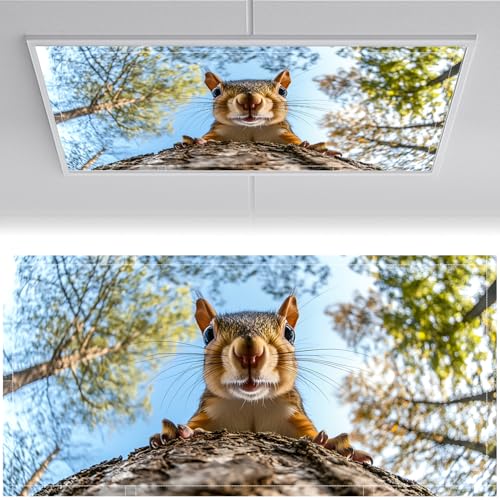 Fluorescent Light Covers for Ceiling Lights-Magnetic,2pcs,Geometric & Stained Glass Designs for Ceiling Lights 2ft x 4ft-Must Haves for Classroom, Office，Home