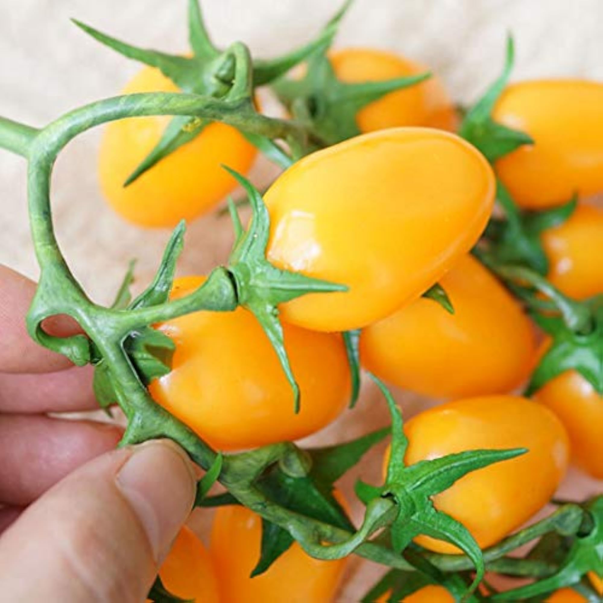 Realistic Artificial Cherry Tomato Fake Fruit Photography Prop