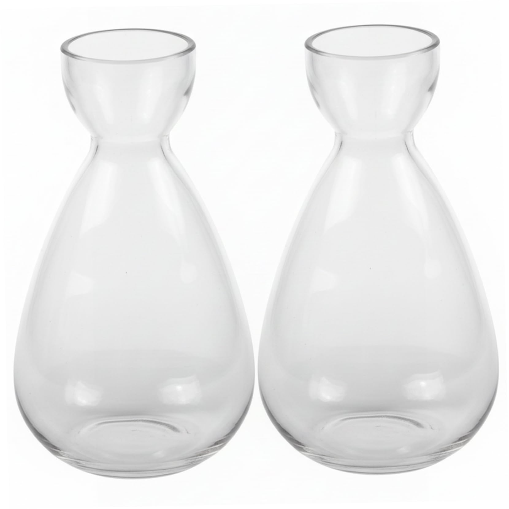 Vase en verre pour avocat Lot de 2 flacons de culture hydroponique transparente