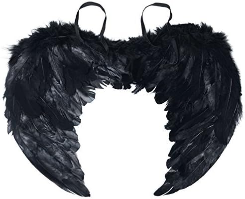 Sunboom Angel Wing Feather Halloween Costume Party, Cosplay Christmas Wings for Kids Children, Black Small