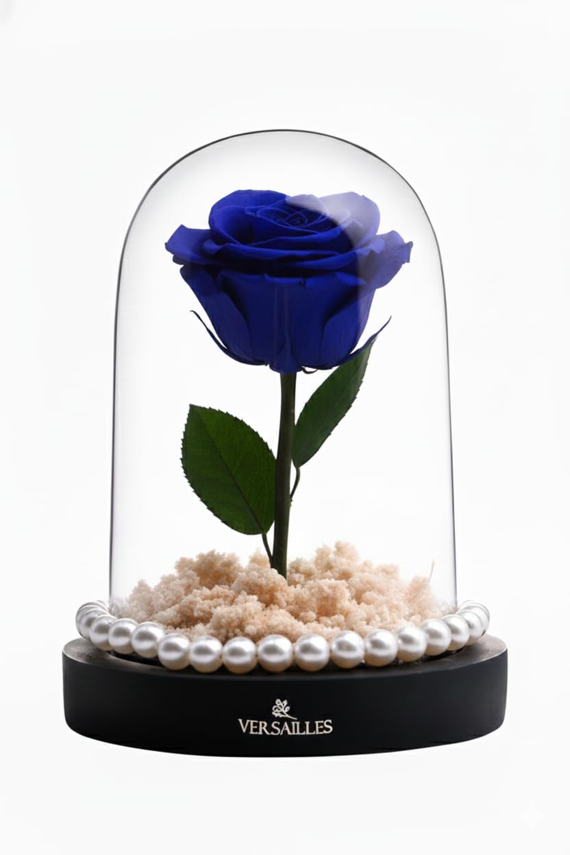 Versailles Preserved Rose in Glass Dome, Blue, Luxury Home Decor, 230 Grams-image-33