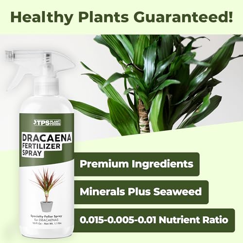 Dracaena Fertilizer Spray – Mist de 16 oz miniatura 2