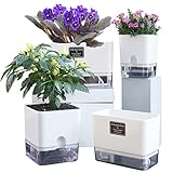 FAMZ Self Watering Planters 4 Pack，Self Watering Pots for Indoor Plants，Automatic Moisturizing，Transparent Square Flower Pot for Indoor and Outdoor Plants，Succulents，Violets，Ivy