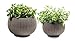 Keter Cozies Plastic Planters Set of 2, Knit Texture, Small & Medium Pots with Removable Liners, Harvest Brown