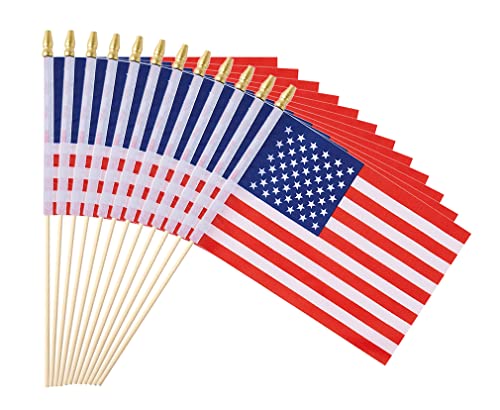 Ckexin 25Pack Small American Flag Mini Usa Flag On...