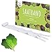 Produktbild 5m Saatband Salat Mix Samen (Lactuca sativa var. crispa) - Knackig, frischer Pflücksalat ideal für die Anzucht im Garten, Balkonkasten & Gemüsebeet