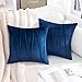 MIULEE Federe per Cuscini 2 Pezzi in Velluto Copricuscini con Strisce Quadrato Resistente e Moderno Decorativo Incrociate Moribido Elegante per Soggiorno Salotto Cameretta Casa 40X40CM Blu Navy