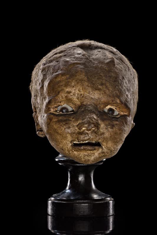 Il pietrificatore. La collezione anatomica «Paolo Gorini». Ediz. italiana e inglese