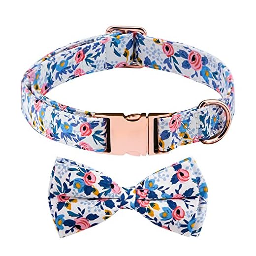 AIEX Hundhalsband med Fluga Spänne Blommig Valphalsband Mjuk Justerbar Krage för Liten mellan stor Hundar och Katter Husdjur (M)