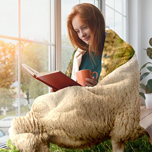 Couverture en peluche microfibre TBOUOBT imprimé moutons