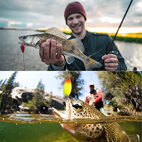 6 Pezzi Esche per Pesca alla Trota Cucchiaino
